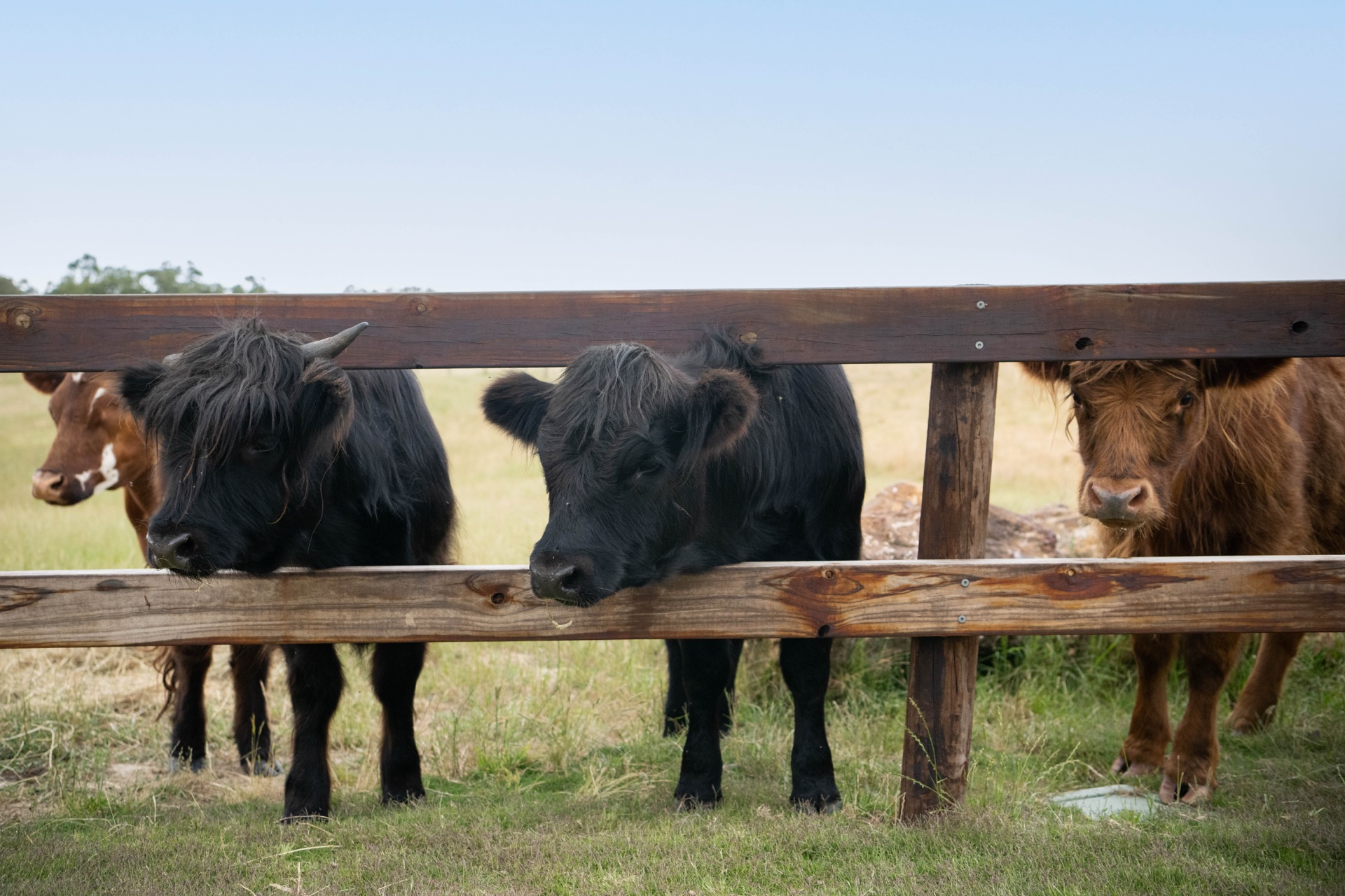 Queen bedroom with valley views beyond